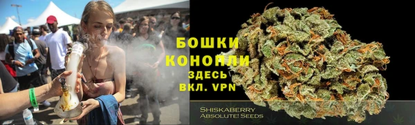дурь Кулебаки